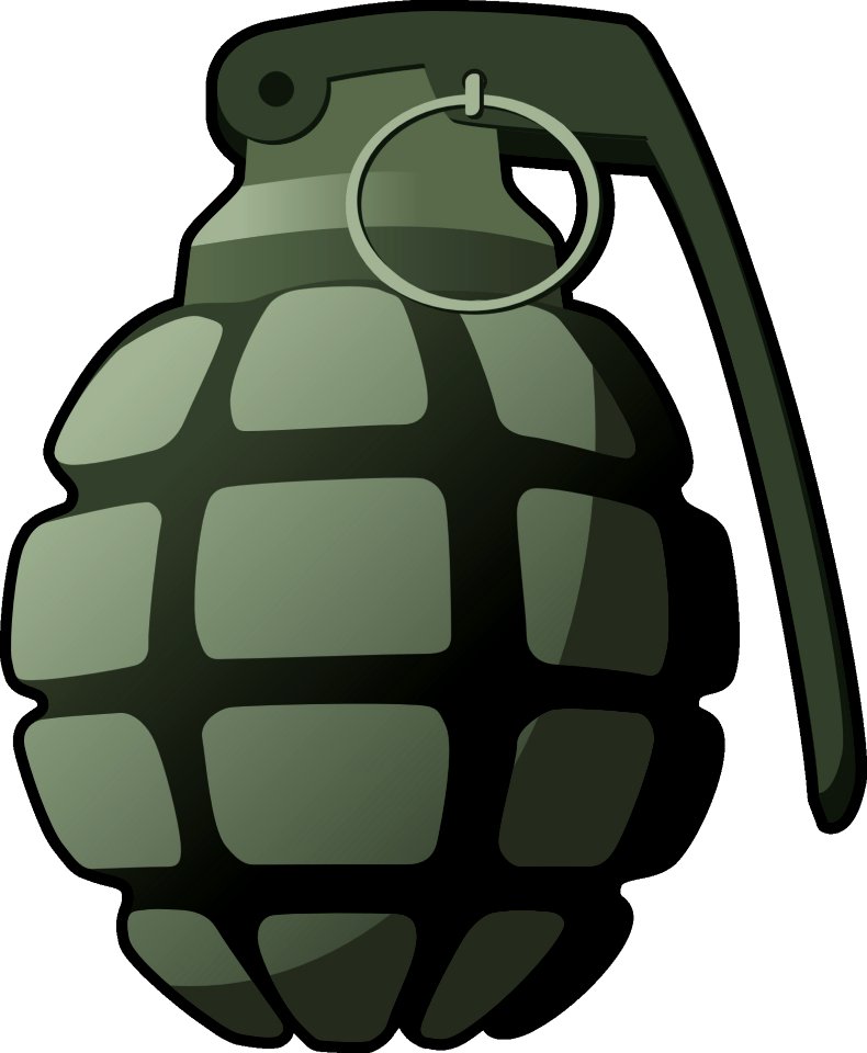 Pattern Design Turtle Product Design