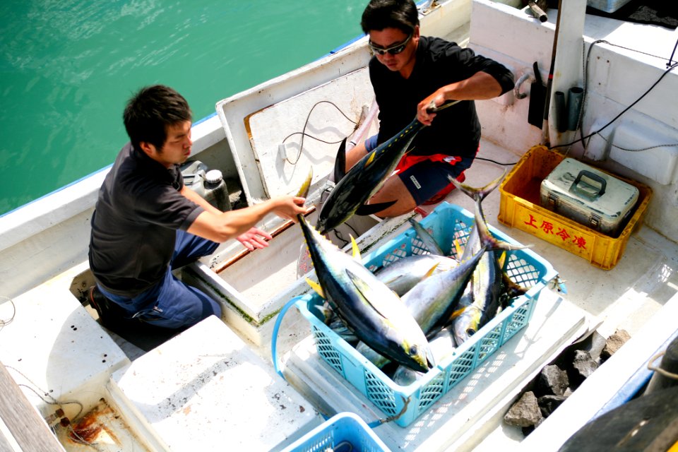 Water Automotive Design Boat Naval Architecture
