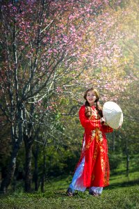 Woman In Traditional Clothing