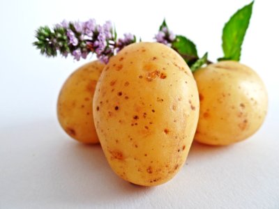 Yellow Oval Potato photo