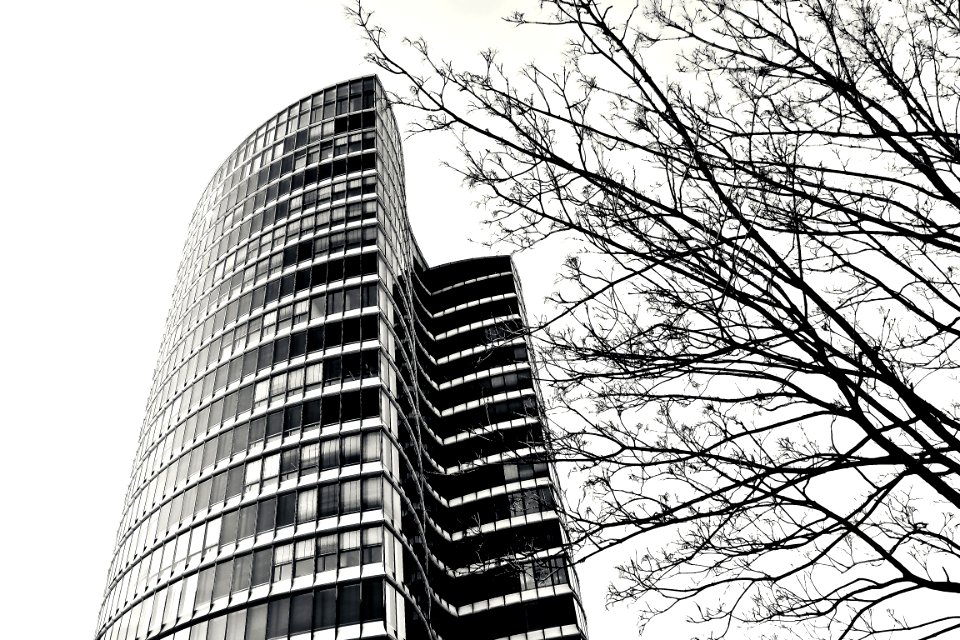 Skyscraper In Black And White