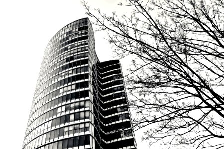 Skyscraper In Black And White photo