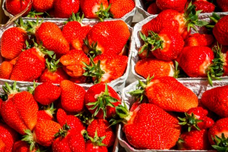Fresh Red Strawberries