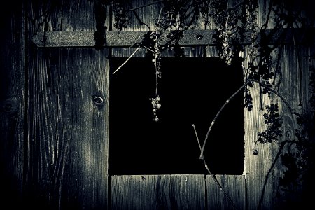 Rustic Barn In Black And White