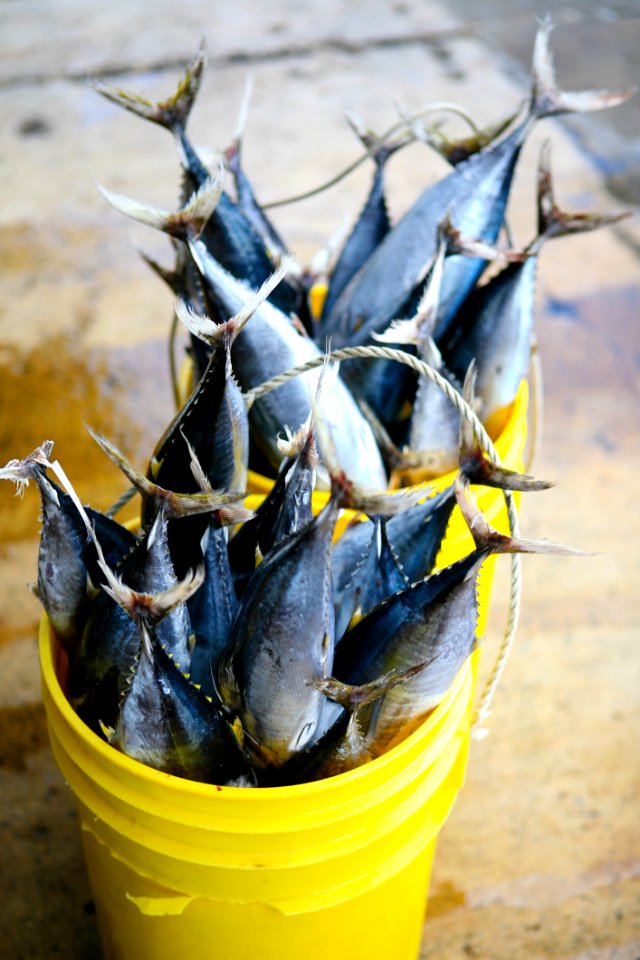Ingredient Recipe Cuisine Dish