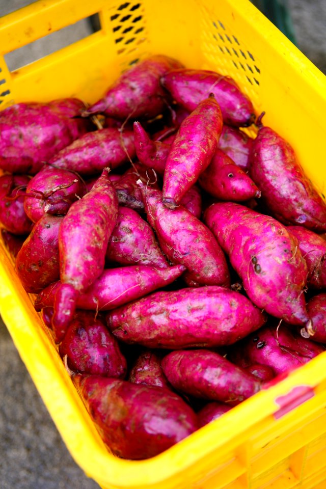 Food Plant Ingredient Natural Foods