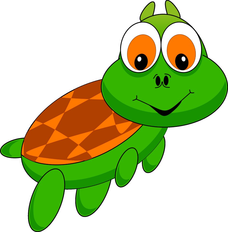 Turtle Reptile Vertebrate Fauna