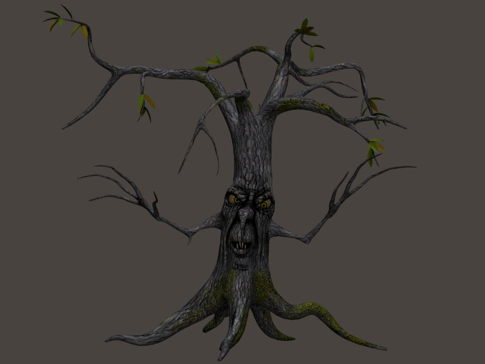 Tree Woody Plant Branch Plant