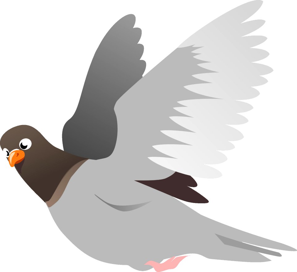 Bird Beak Fauna Wing