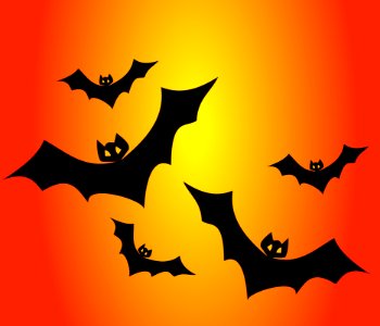 Mammal Bat Leaf Orange