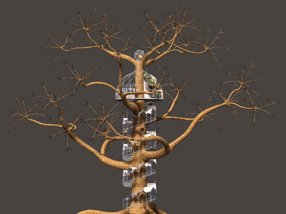 Tree Woody Plant Branch Plant