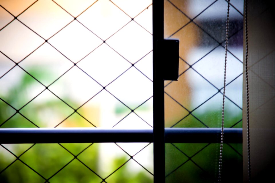 Window