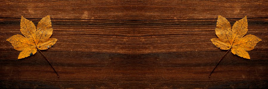 Autumn Leaves On Wood