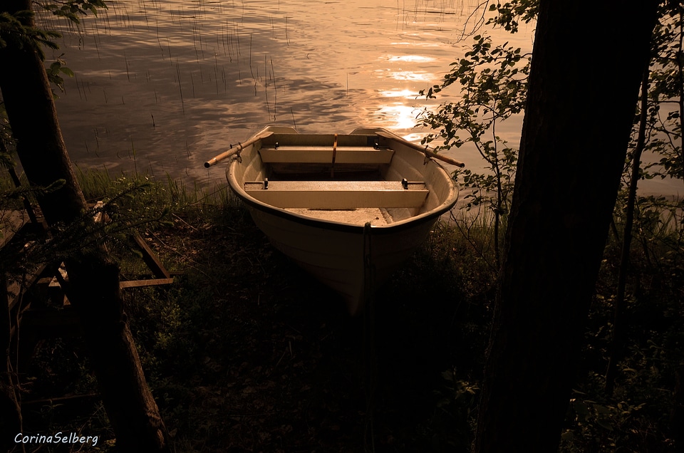 Water boat evening