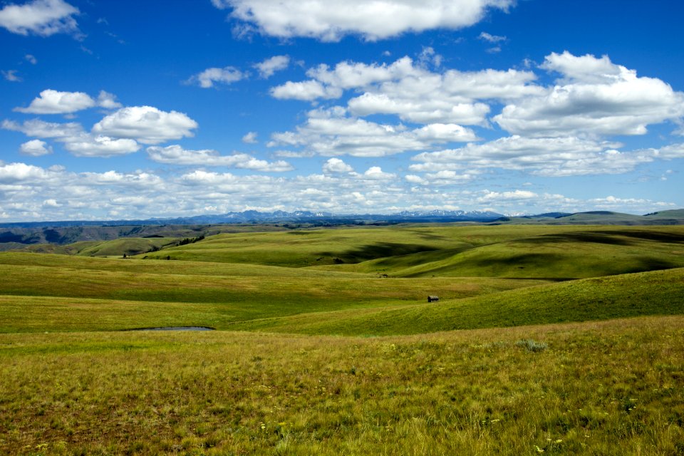 Zumwalt Prairie Oregon photo