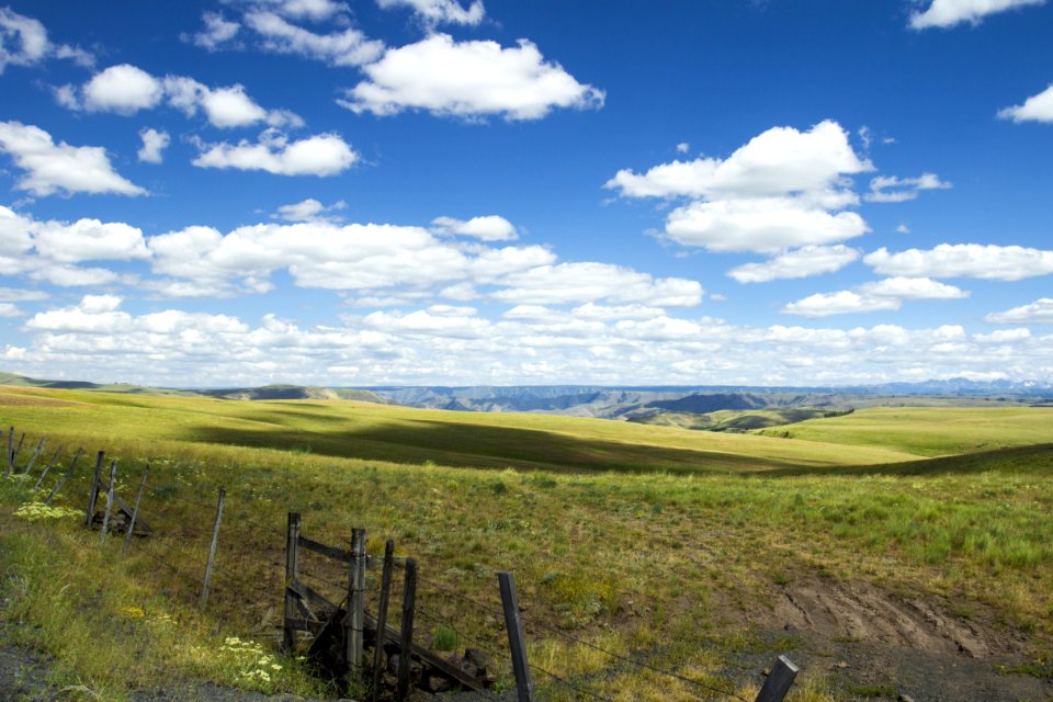 Zumwalt Prairie  Oregon