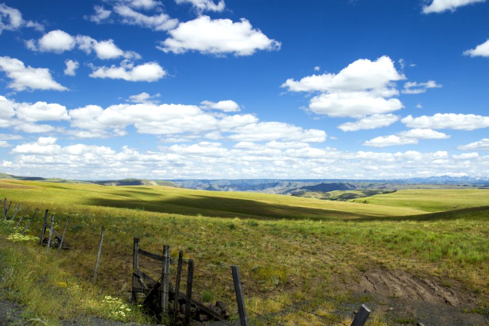 Zumwalt Prairie Oregon photo