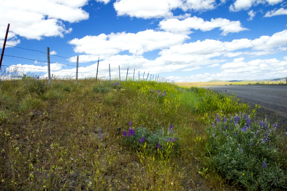 Zumwalt Prairie Oregon