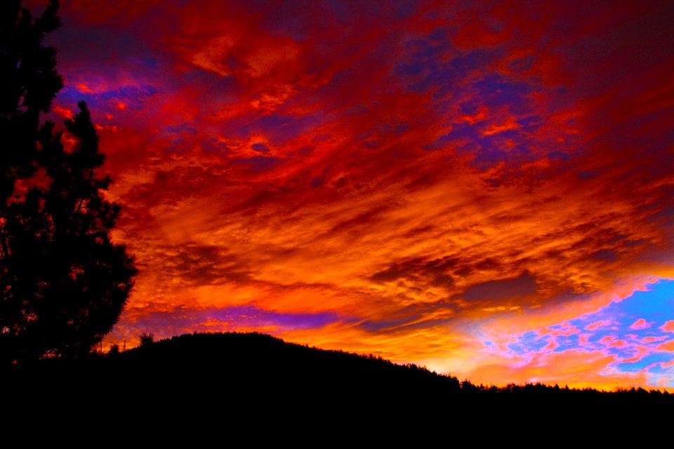Silhouette Of Forest During Golden Hour