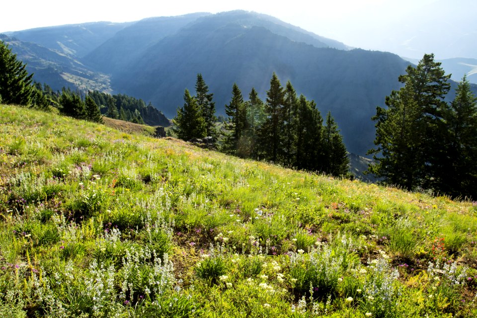 Hells Canyon Overlook Oregon