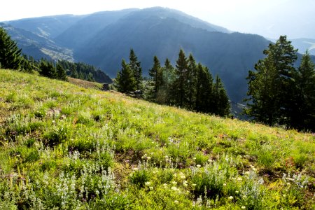 Hells Canyon Overlook Oregon