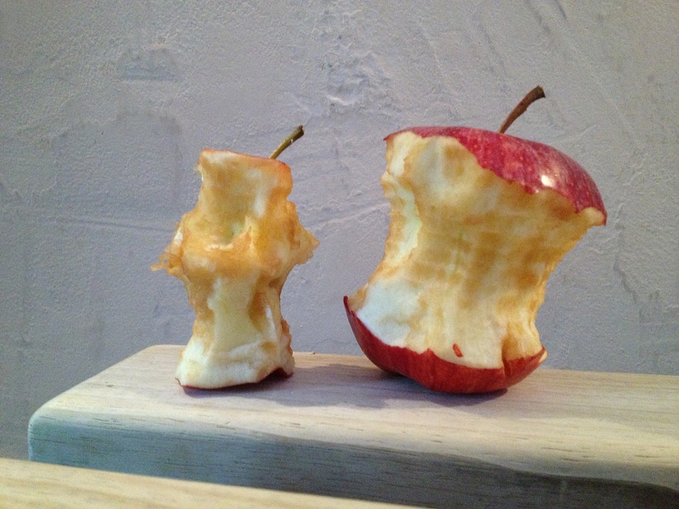 Eaten apple core organic waste