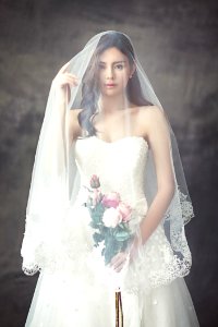 Gown Wedding Dress Veil Bride photo