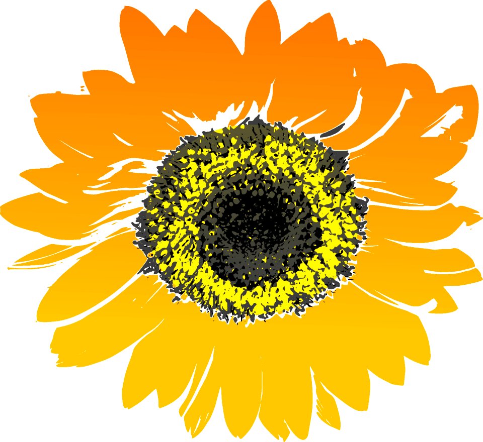 Flower Sunflower Flowering Plant Yellow