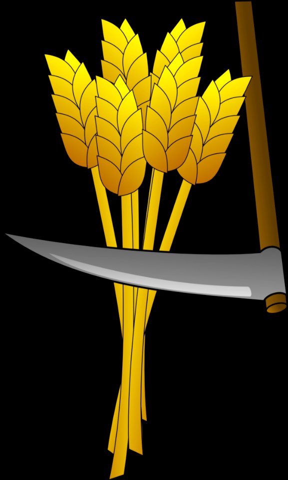 Yellow Leaf Plant Flower