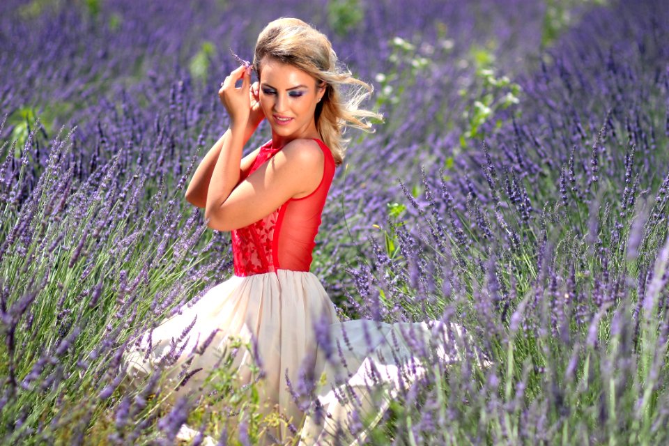 Flower Purple Beauty Grass