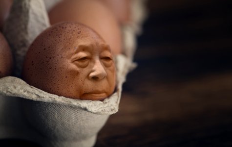 Nose Head Close Up Human