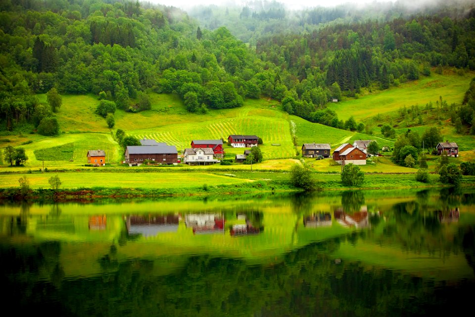 Farmlands And Hills