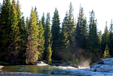 Evergreen Forest On River Bank photo