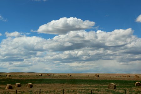 Meadow With Hay Bales photo