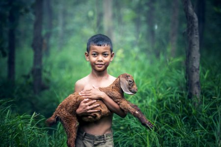 Boy With Lamb