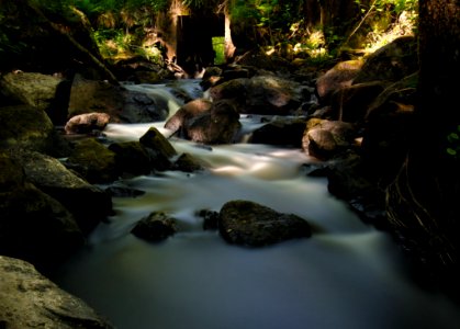 Stream Flowing Through Rocks In Forest photo