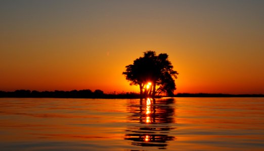 Calm Water Surface Overlooking Sun Setting On The Horizon Blocked By The Silhouette Of Tree photo