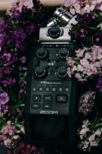 Blossoming Flowers Surrounding Zoom