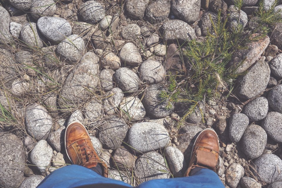 Brown Shoes Rock photo