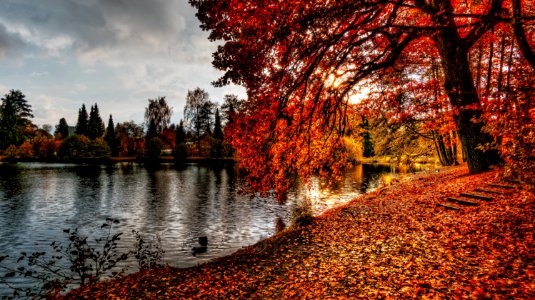 Pond With Autumn Leaves photo