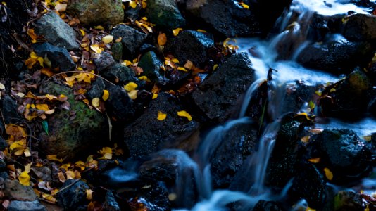 Water Nature Rock Stream