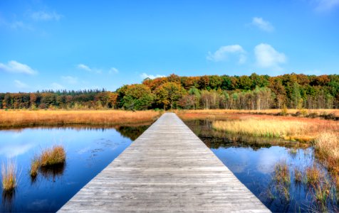 Jetty On Lake In Countryside photo