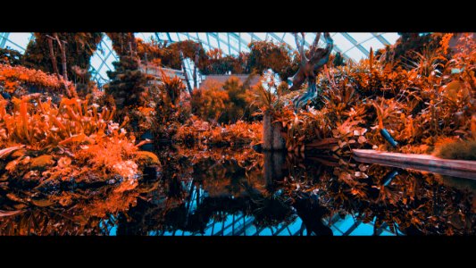 Reflections