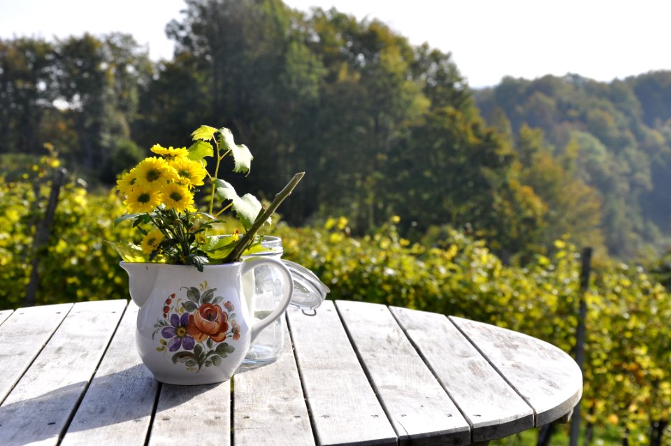Flowers In Teapot On Table
