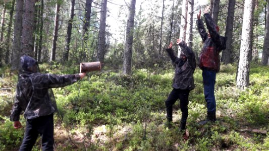 Plant Trousers Plant Community Tree
