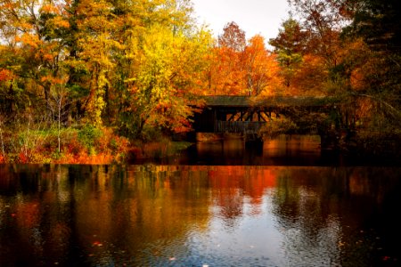 Covered Bridge Over River In Autumn