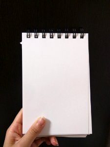 Hand Holding Blank Notebook