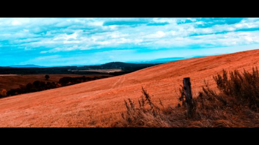 Open Field