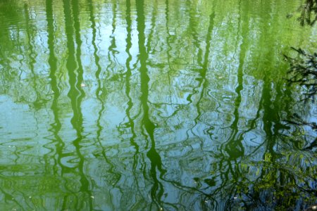 Water Texture With Distorted Green Reflections