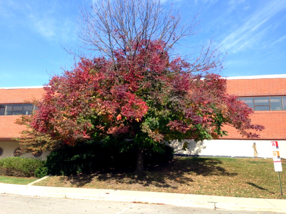 Agrilcultural Engineering Building